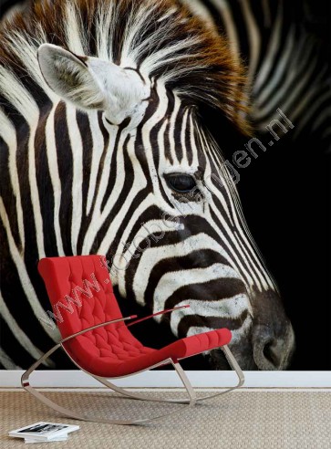 Fotobehang Zebra