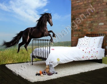 Vlies fotobehang Zwart paard