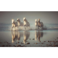 Vlies fotobehang Camargue paarden