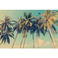 Vlies fotobehang Tropische palmbomen