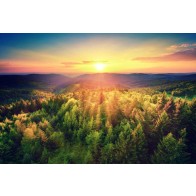 Vlies fotobehang Zonsondergang over de bosheuvels