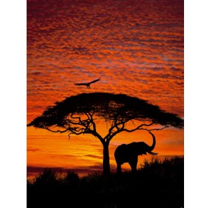 Fotobehang African sunset