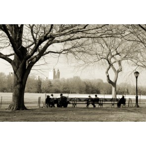 Vliesbehang Herinneringen aan Central Park