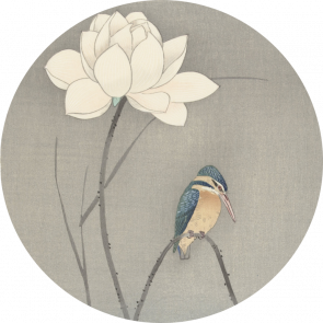 Behangcirkel IJsvogel bij lotusbloem