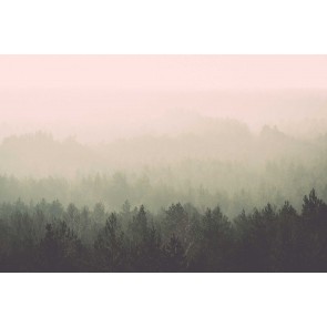 Vlies fotobehang Uitzicht op mistig bos Vintage