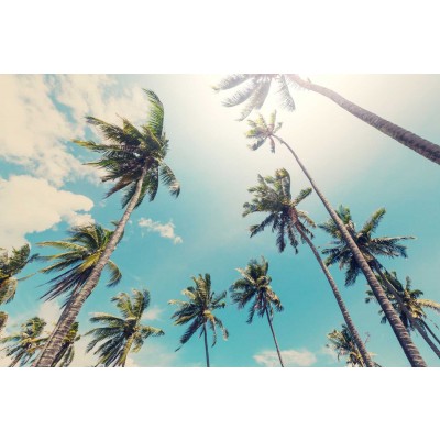 Vlies fotobehang Palmbomen aan het strand
